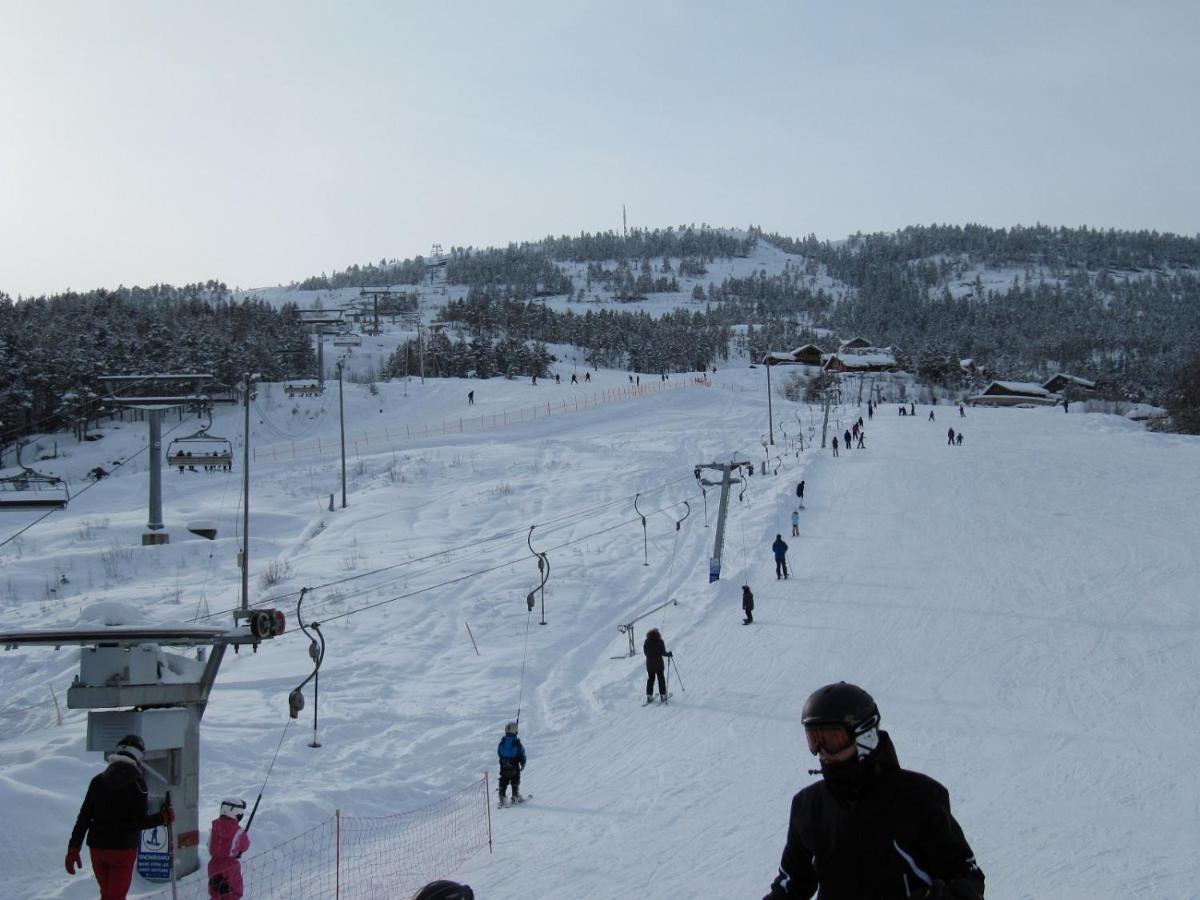 Vradal Panorama - Tiurasvegen 39 Villa ภายนอก รูปภาพ