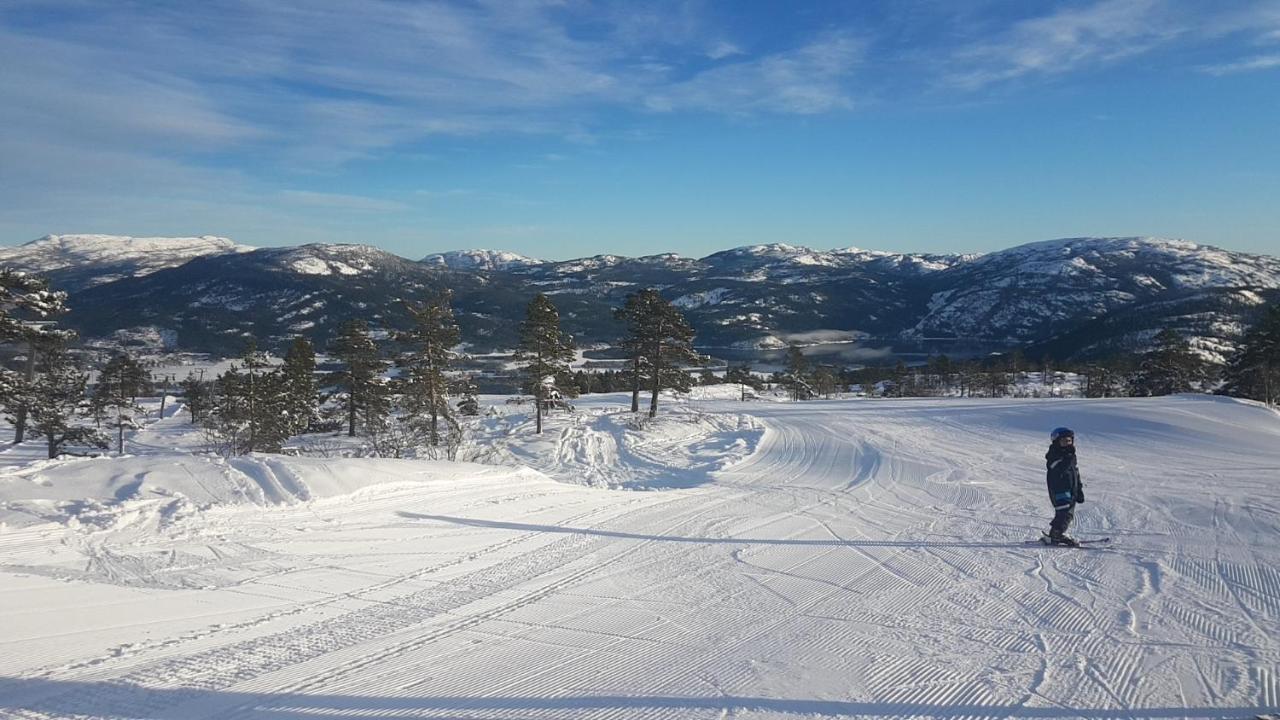 Vradal Panorama - Tiurasvegen 39 Villa ภายนอก รูปภาพ