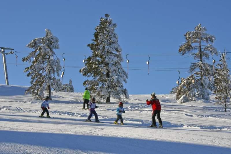 Vradal Panorama - Tiurasvegen 39 Villa ภายนอก รูปภาพ